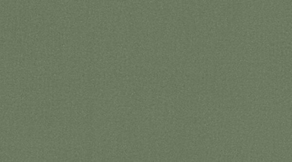 0842-olive 0842-olive