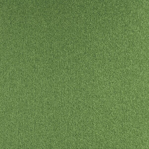 244 Wykładziny dywanowe firmy Boogie