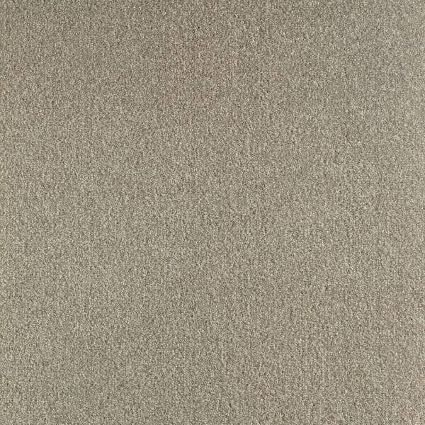 730 Jasna płytka Boogie wykładziny